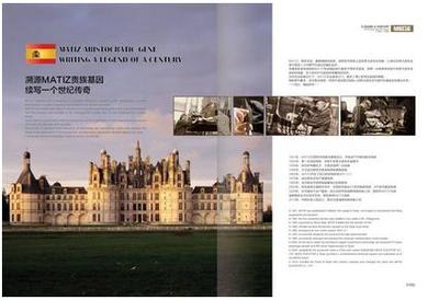 華中最大凍品交易平臺(tái)在武漢落戶(hù) 美迪斯電梯實(shí)力&ldquo;助跑&rdquo;|電梯|武漢|技術(shù)_新浪新聞